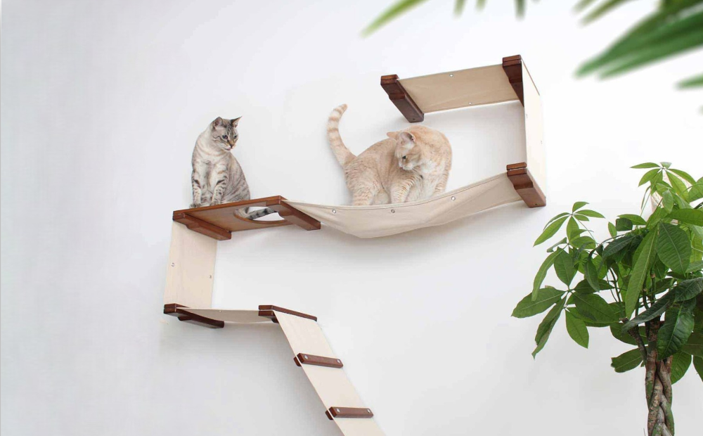 Where to Buy Cat Climbing Toys: Top Picks for Happy Cats